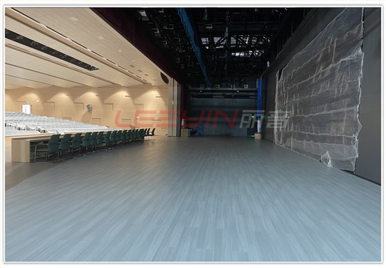 肇庆应用学院800人报告厅4